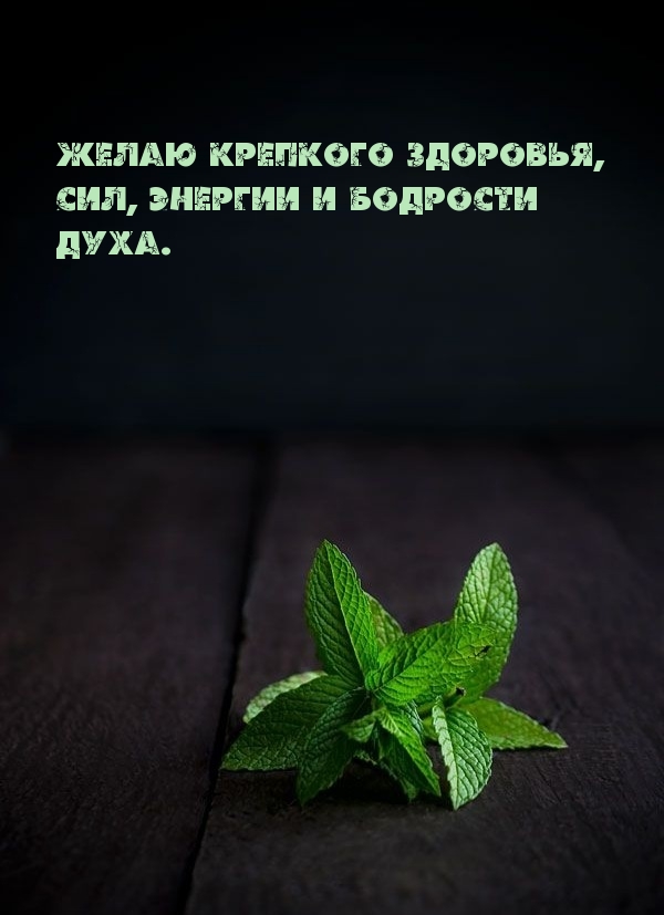 Желаю крепкого здоровья, сил, энергии и бодрости духа.