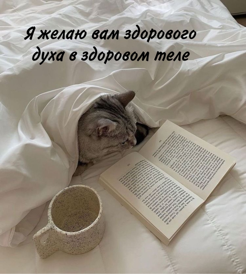Я желаю вам здорового духа в здоровом теле