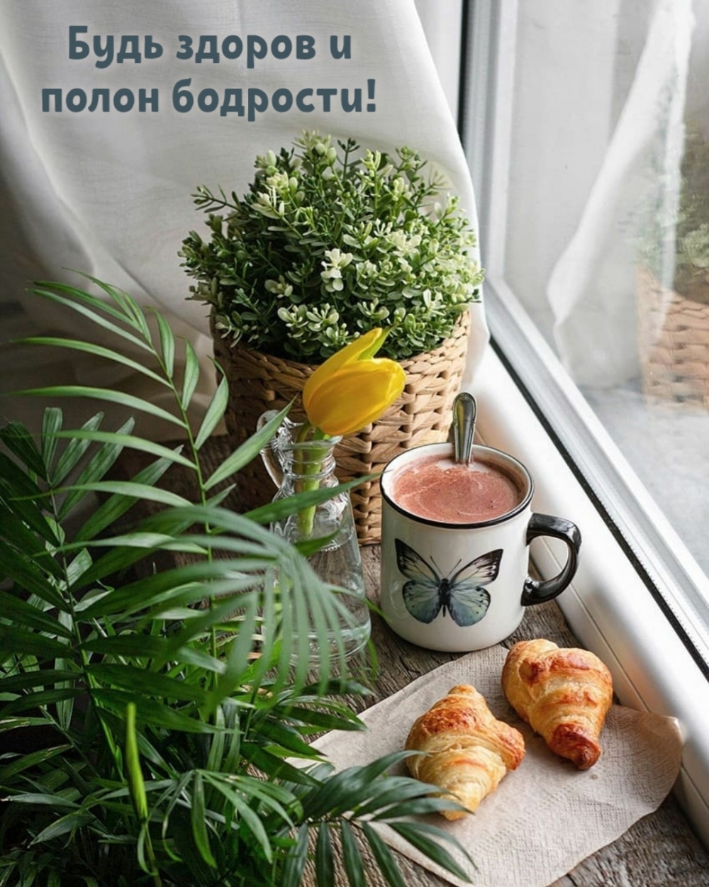 Будь здоров и полон бодрости!