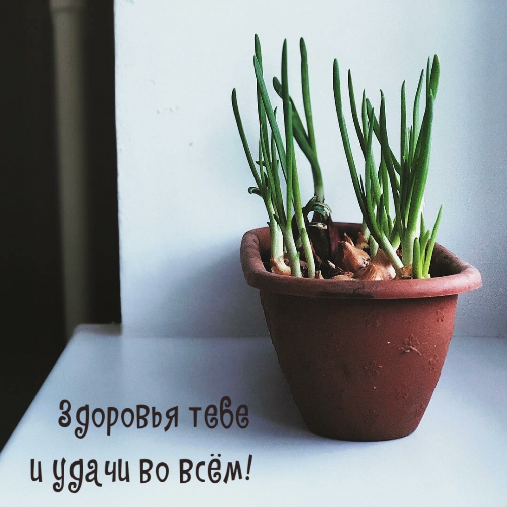 Здоровья тебе и удачи во всём!