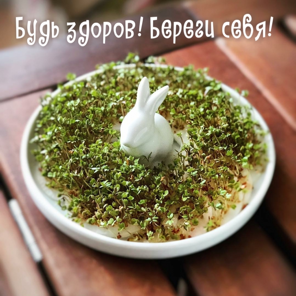 Будь здоров! Береги себя!