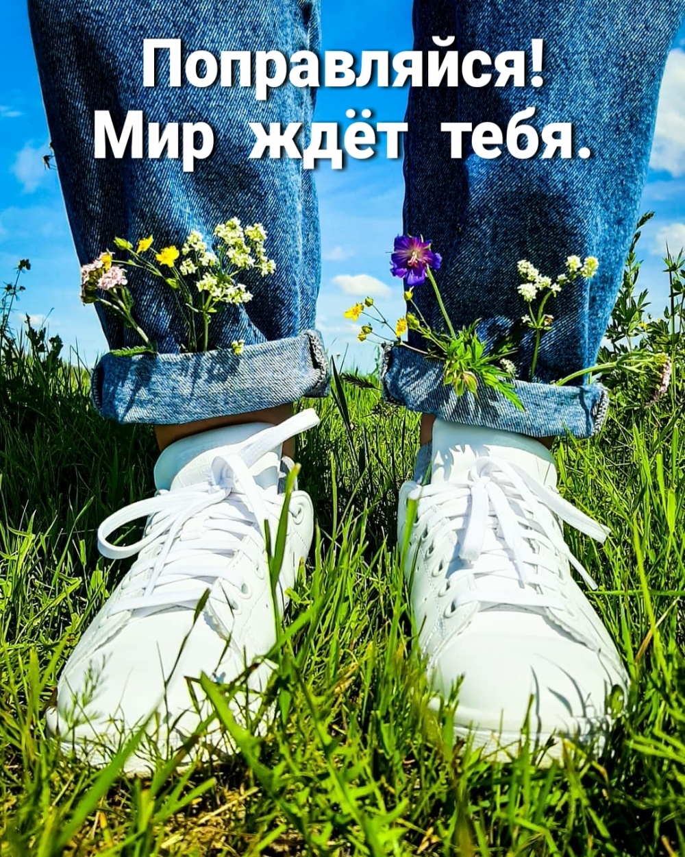 Поправляйся! Мир ждёт тебя.