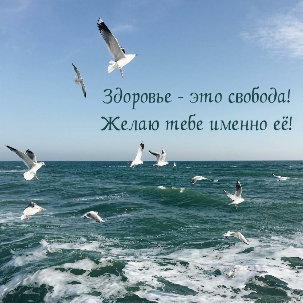 Картинки с надписями.  Здоровье - это свобода! Желаю тебе именно её!.