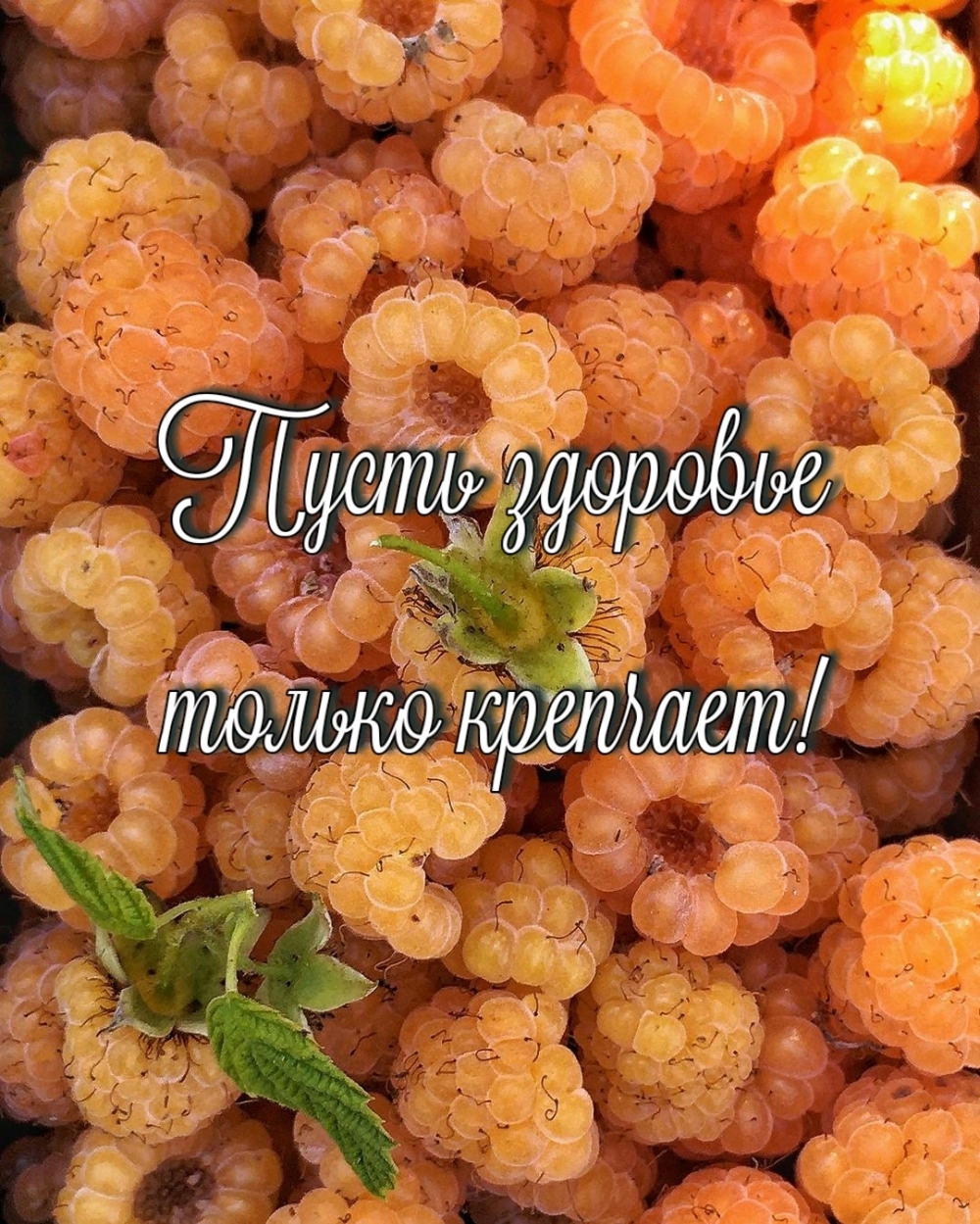 Пусть здоровье только крепчает!