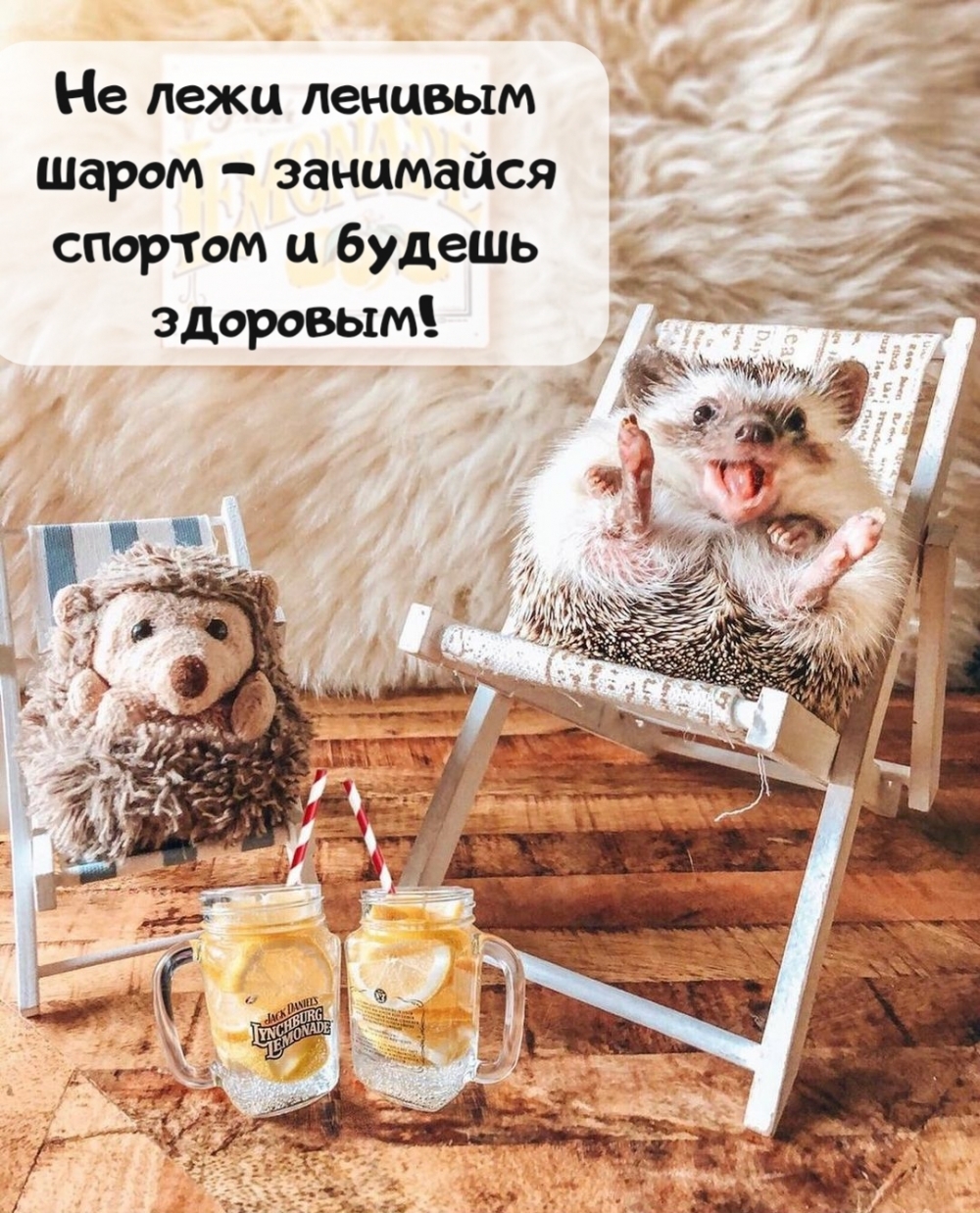 Не лежи ленивым шаром — занимайся спортом и будешь здоровым!