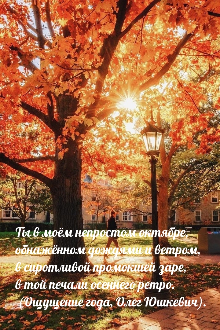 Ты в моём непростом октябре