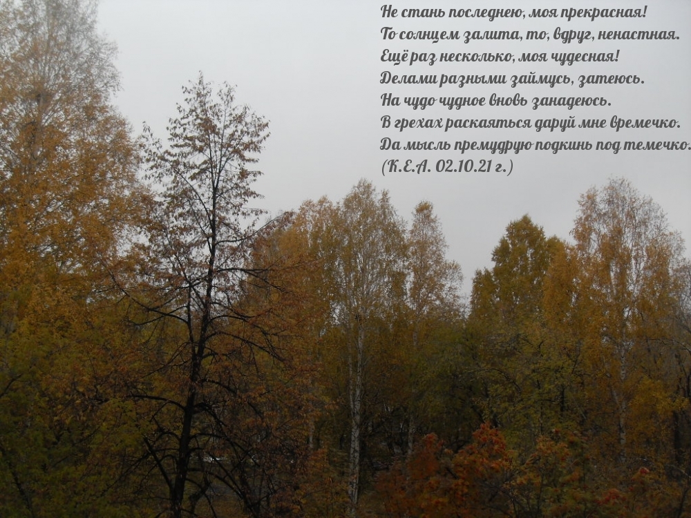 Не стань последнею, моя прекрасная!