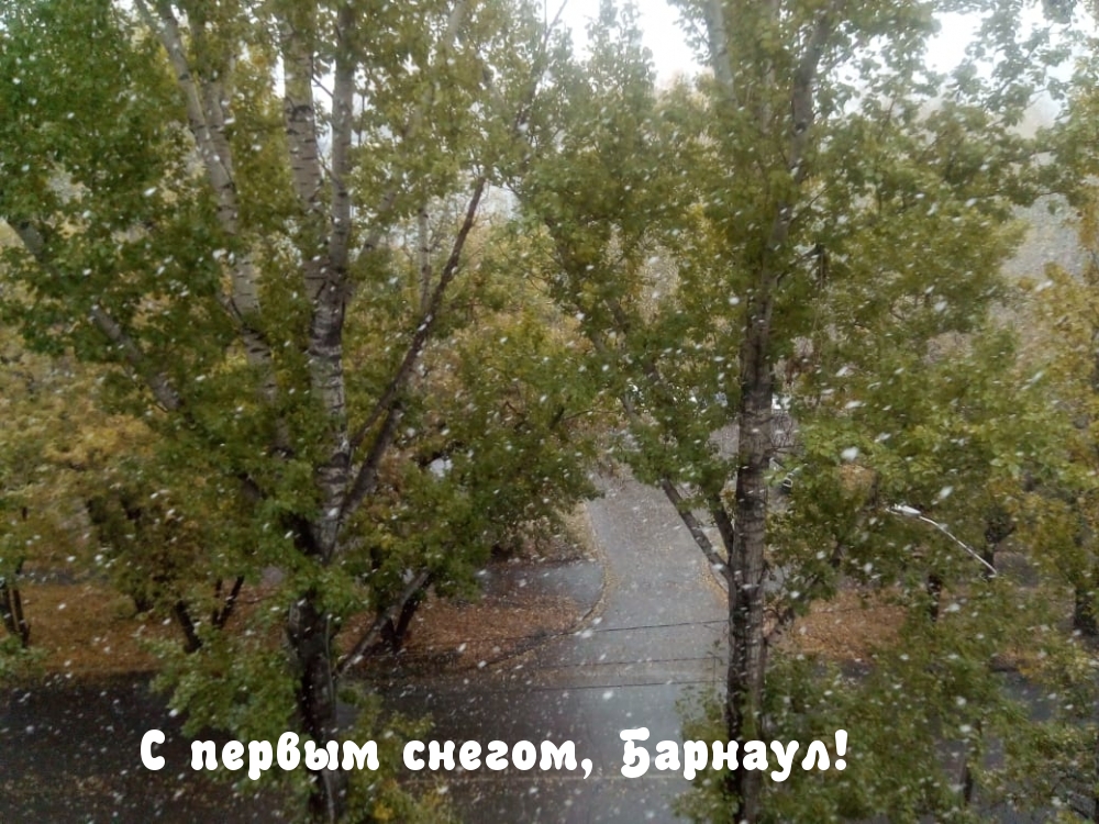 С первым снегом, Барнаул!
