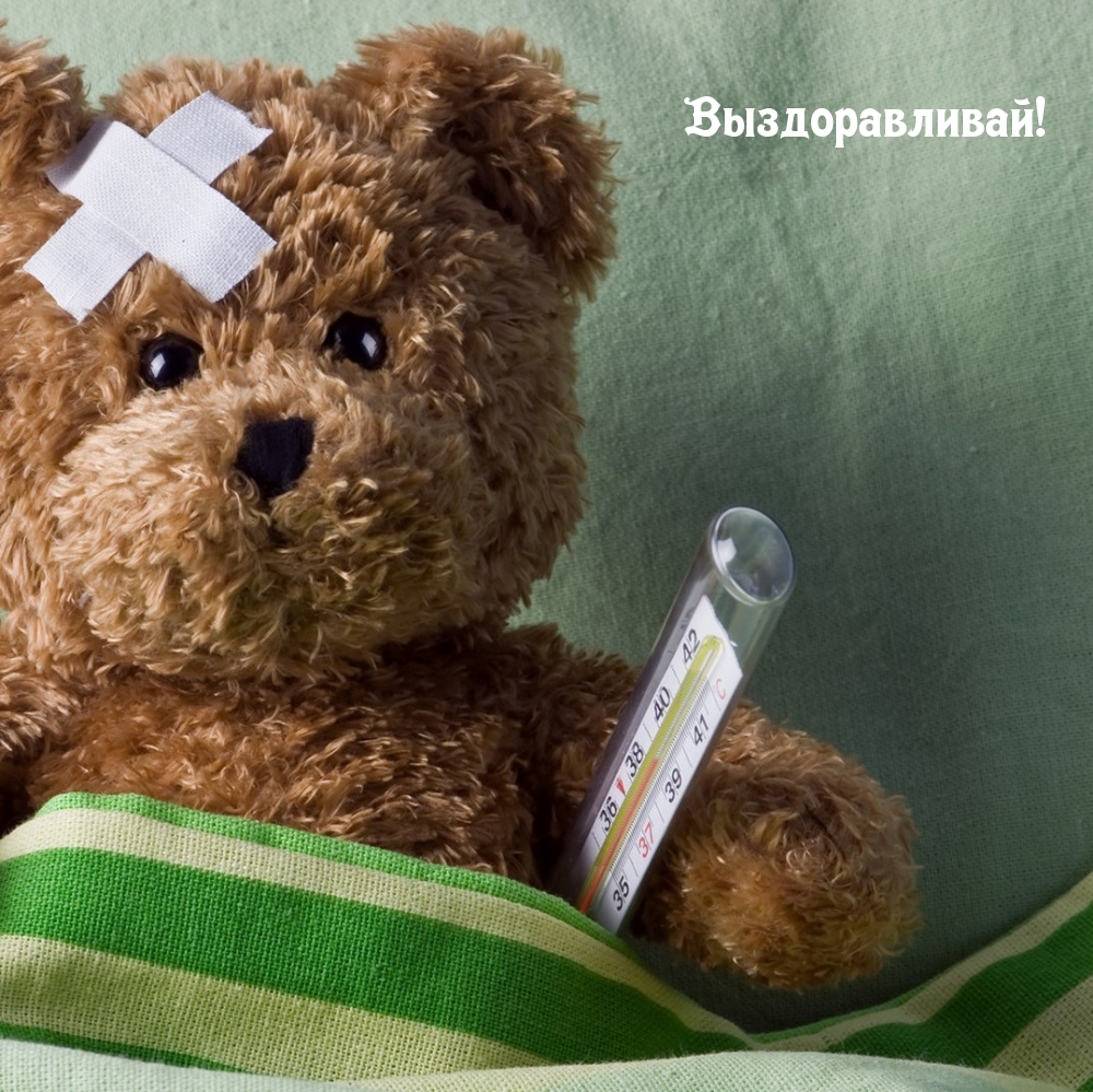 Выздоравливай!