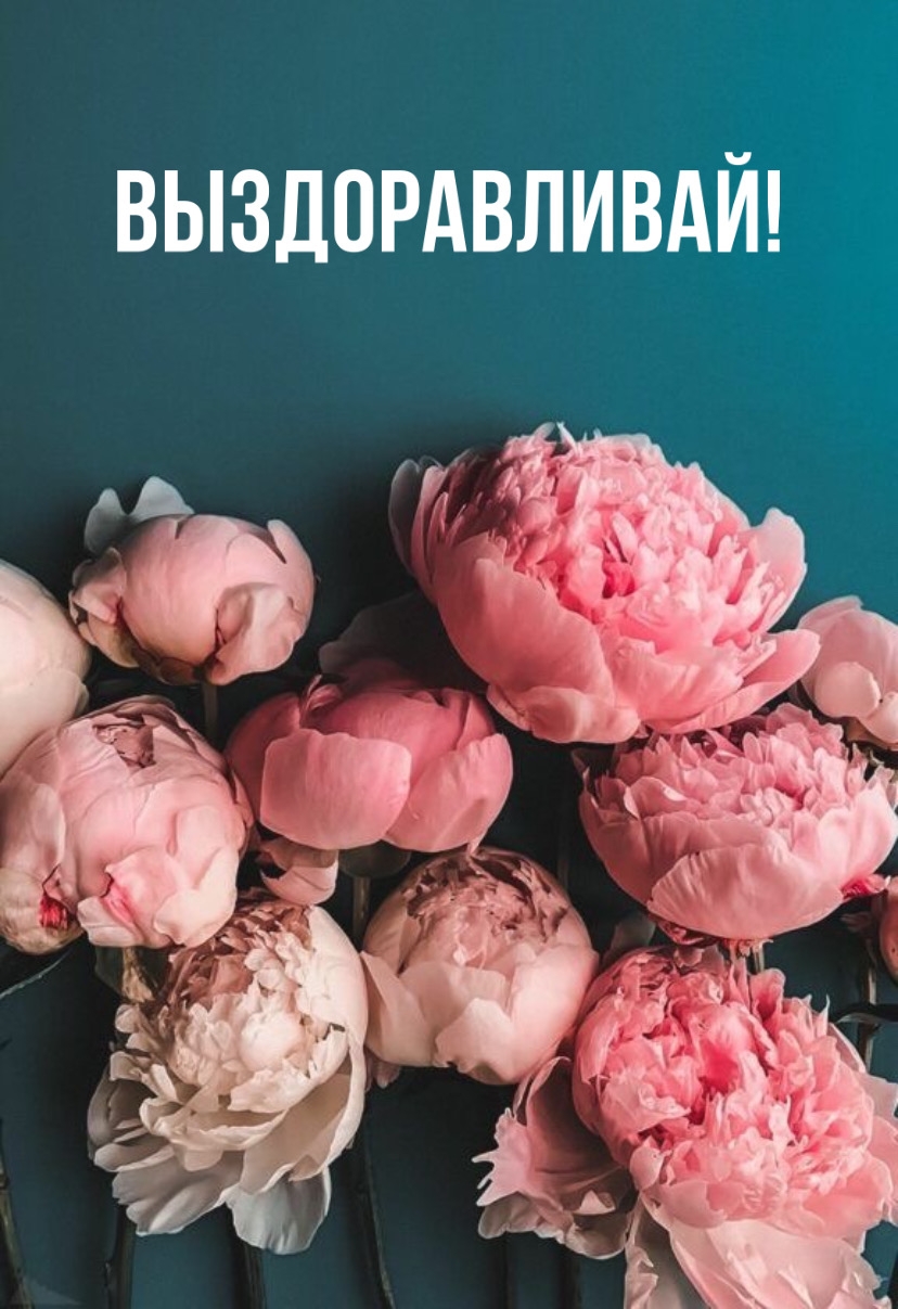 Выздоравливай!