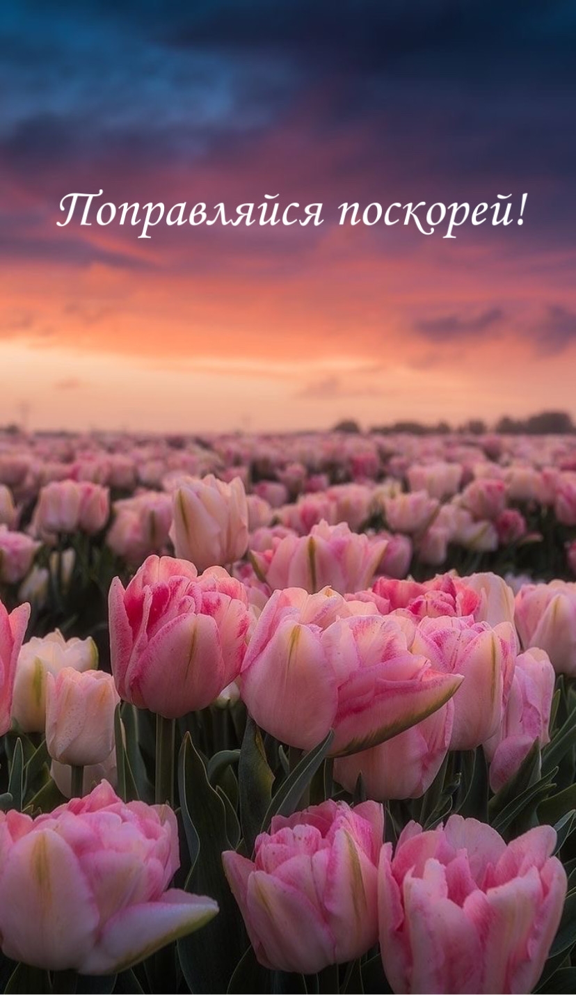 Картинки с надписями.  Поправляйся поскорей!.