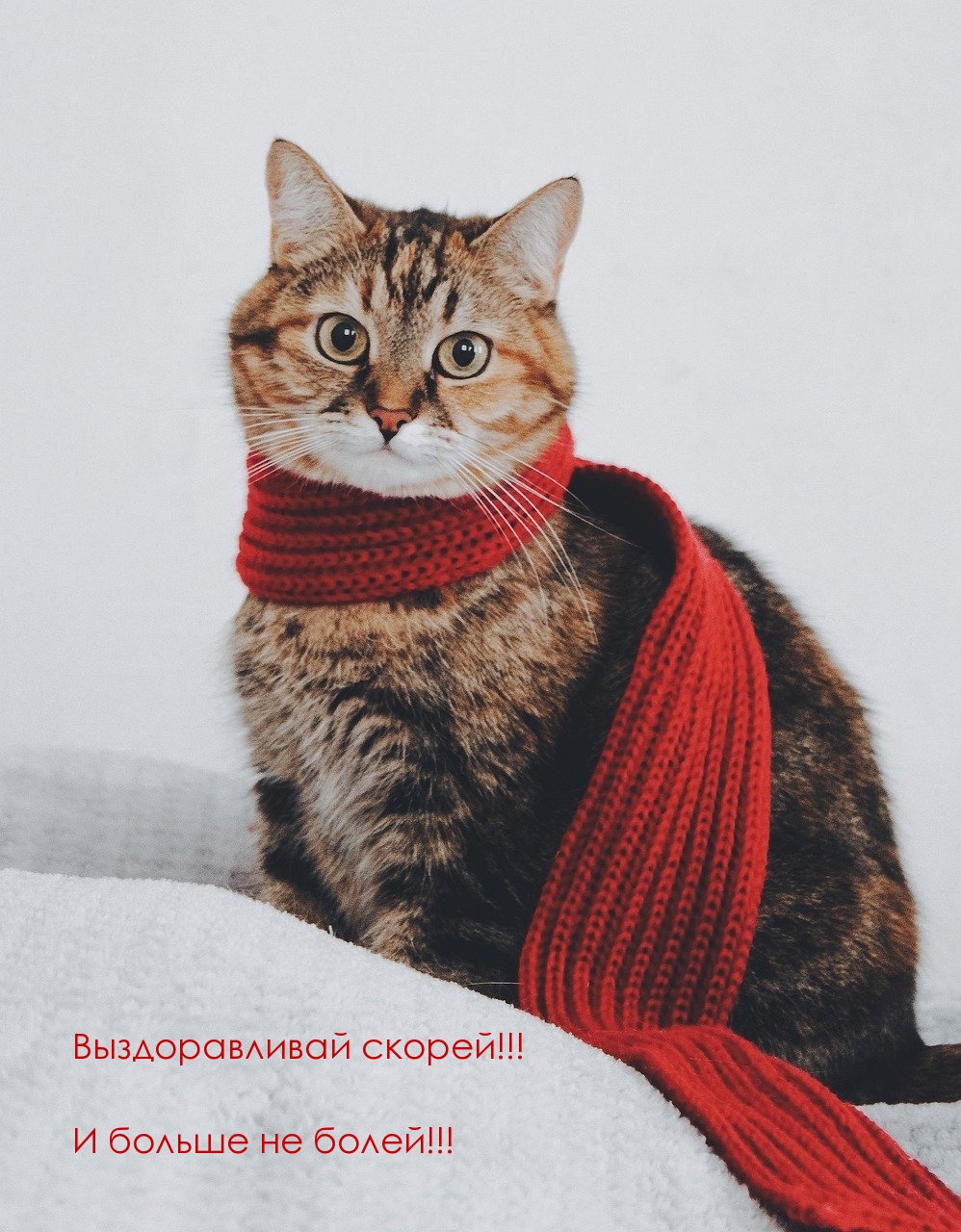 Выздоравливай скорей! И больше не болей!