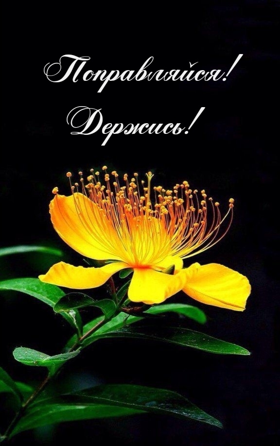 Поправляйся! Держись!