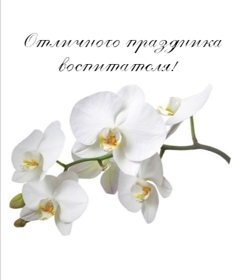 Отличного праздника воспитателя!