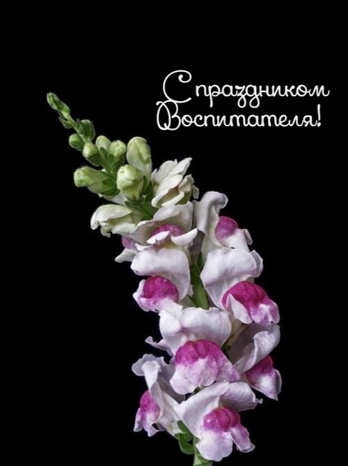 С праздником воспитателя!