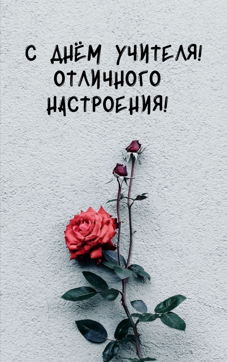 С Днём учителя! Отличного настроения!