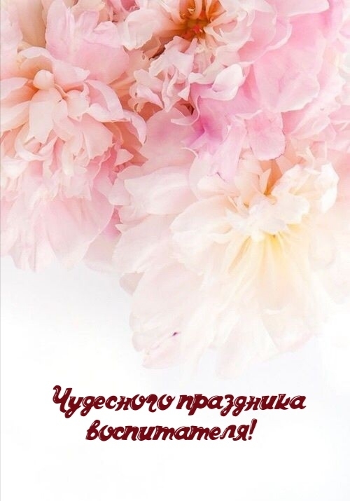 Чудесного праздника воспитателя!