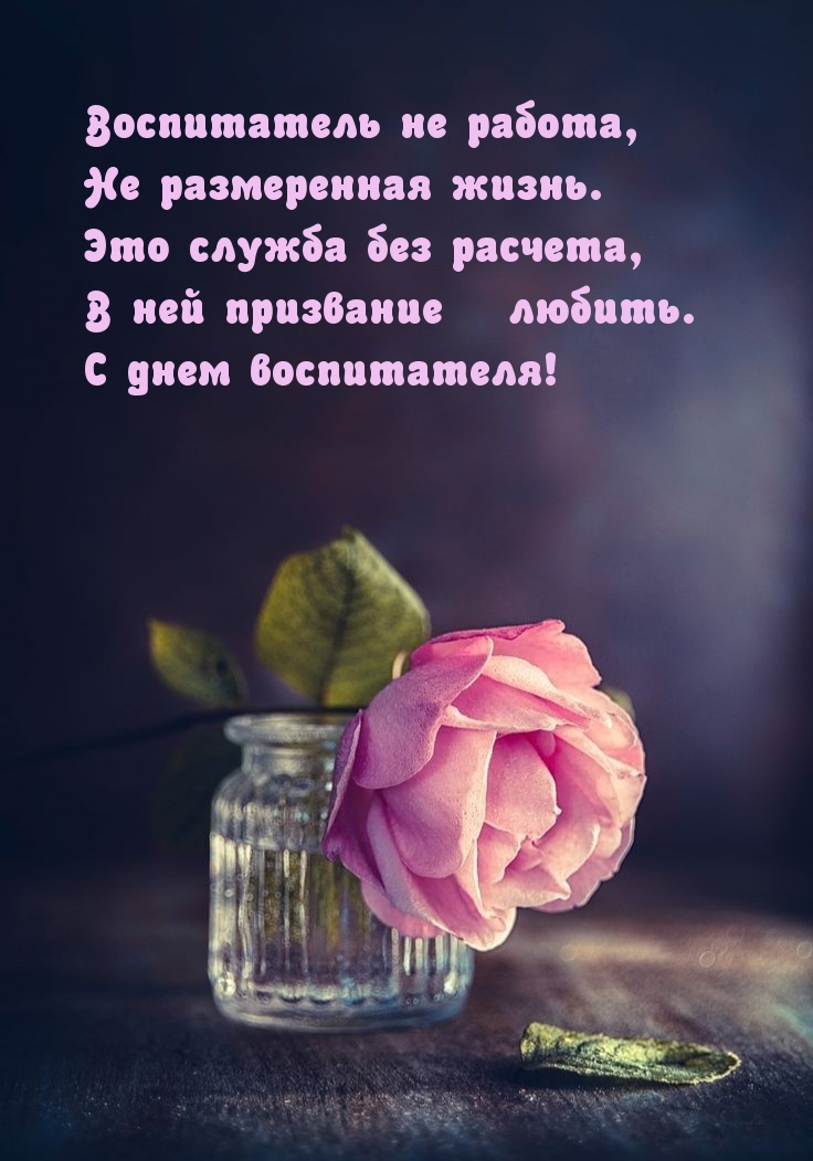 Воспитатель не работа, не размеренная жизнь.