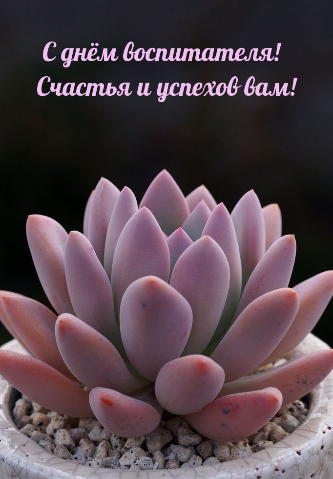 С днём воспитателя! Счастья и успехов вам!