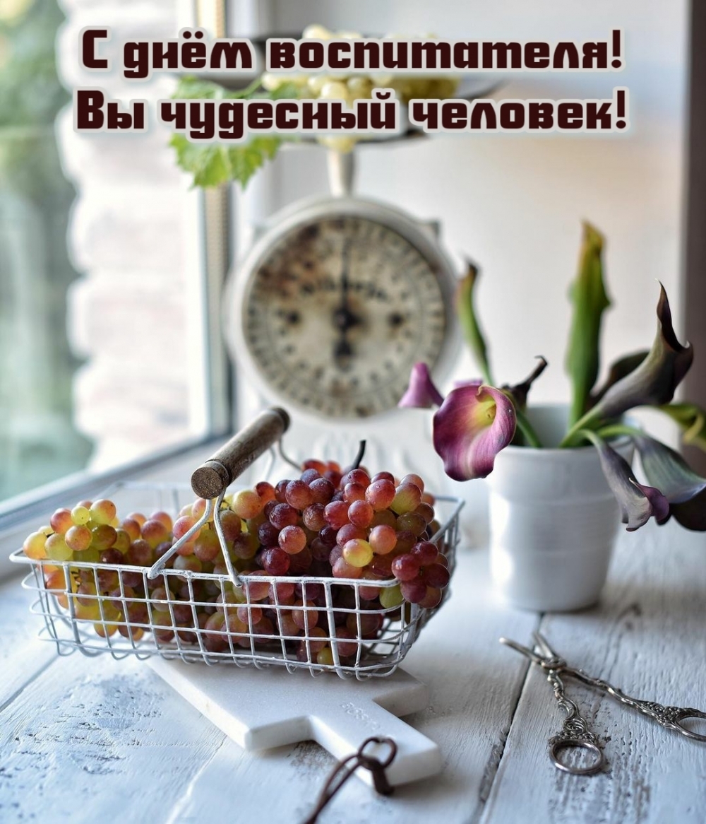 С днём воспитателя! Вы чудесный человек!