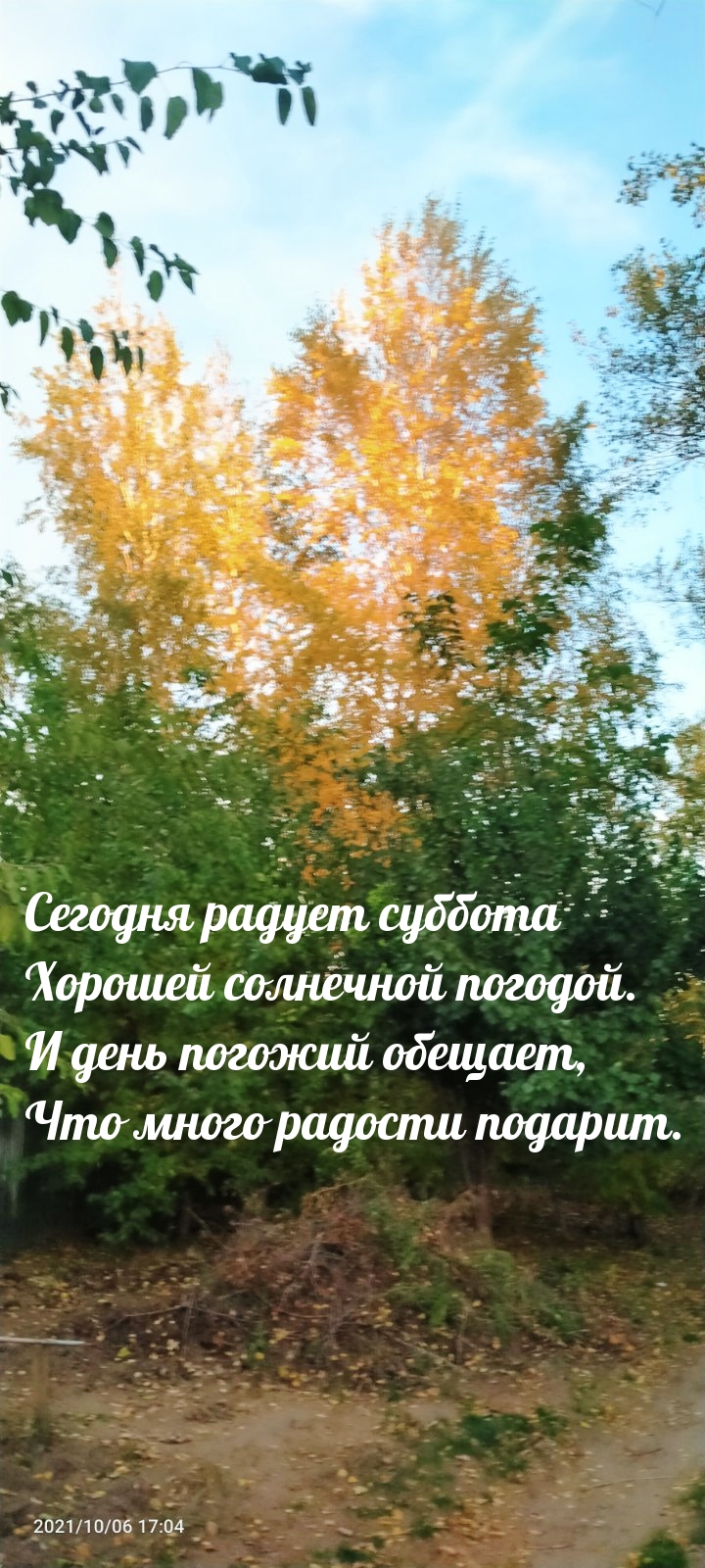 Сегодня радует суббота хорошей солнечной погодой.