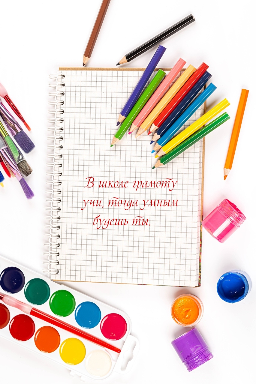 В школе грамоту учи, тогда умным будешь ты.