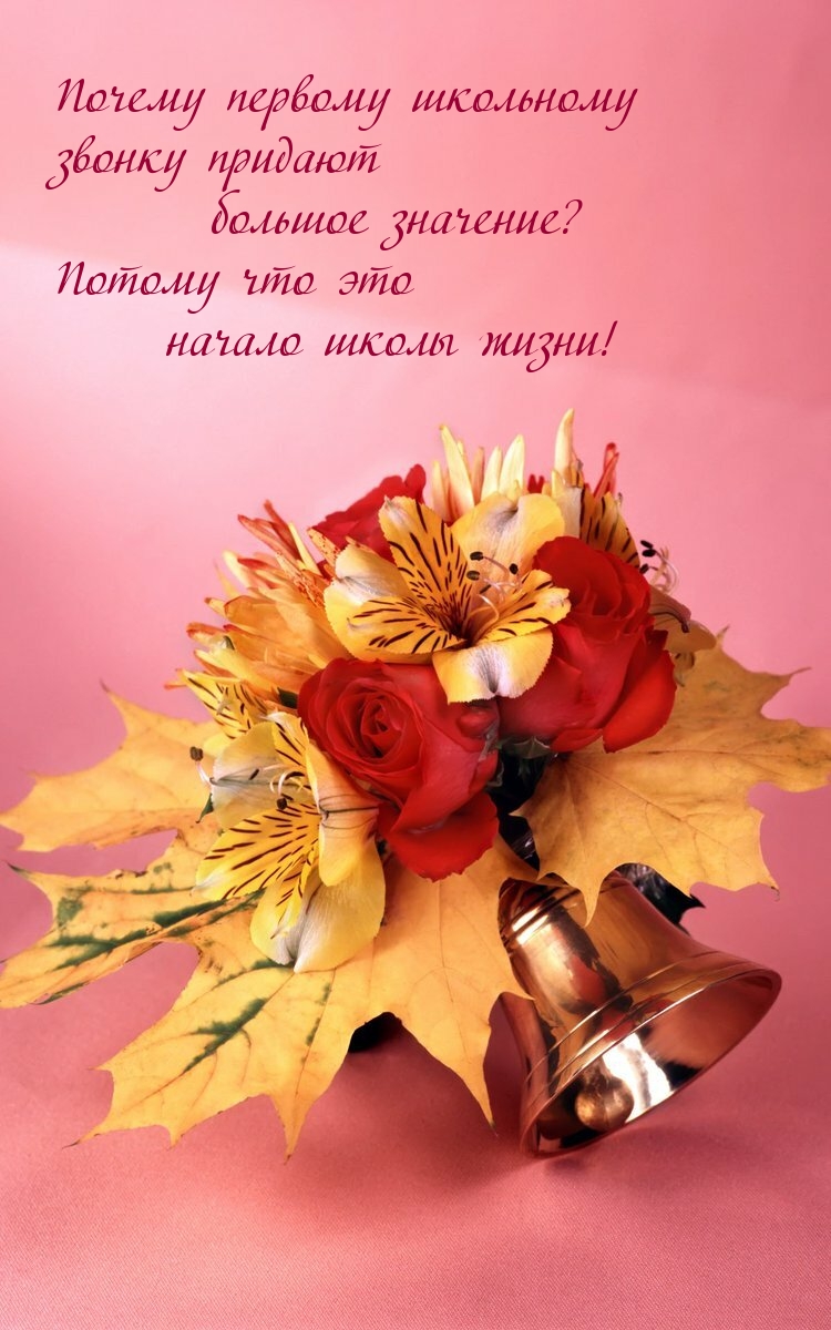 Потому что это начало школы жизни!