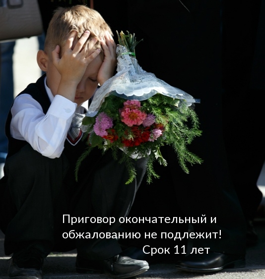 Приговор окончательный и обжалованию не подлежит! Срок 11 лет