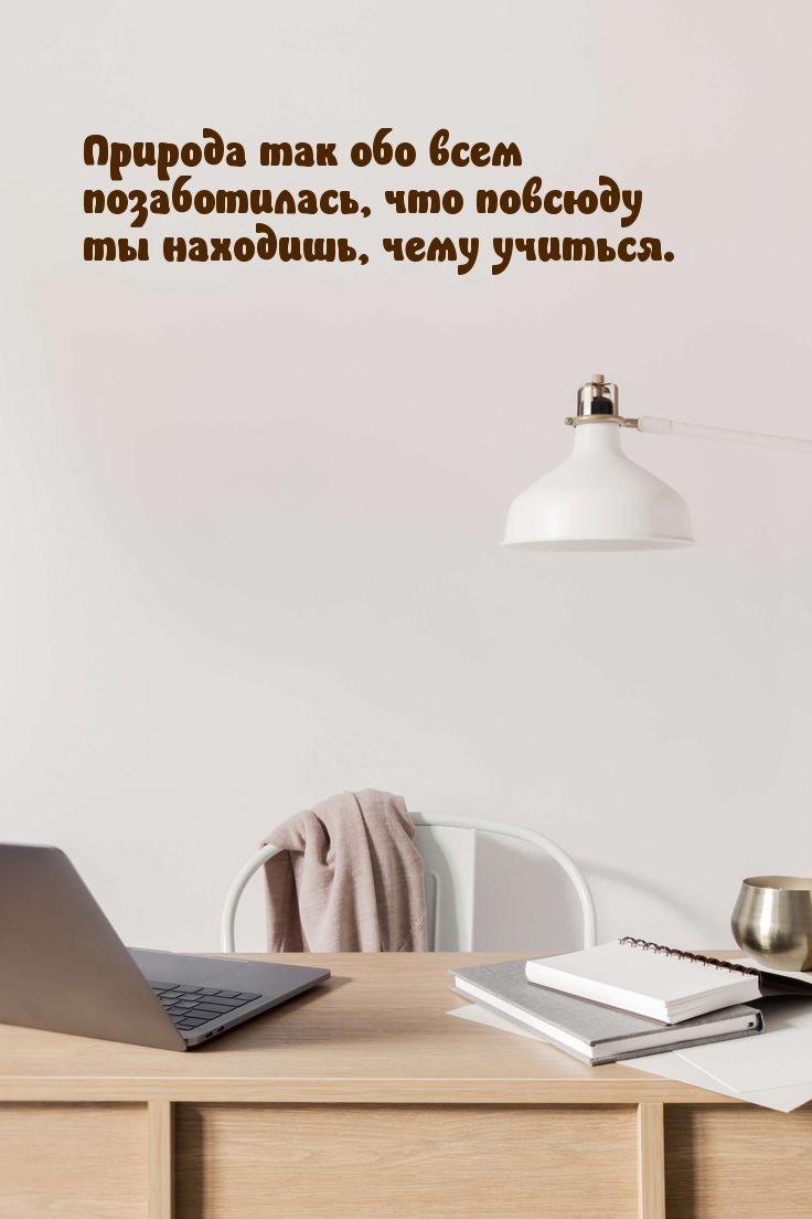 Повсюду ты находишь, чему учиться.