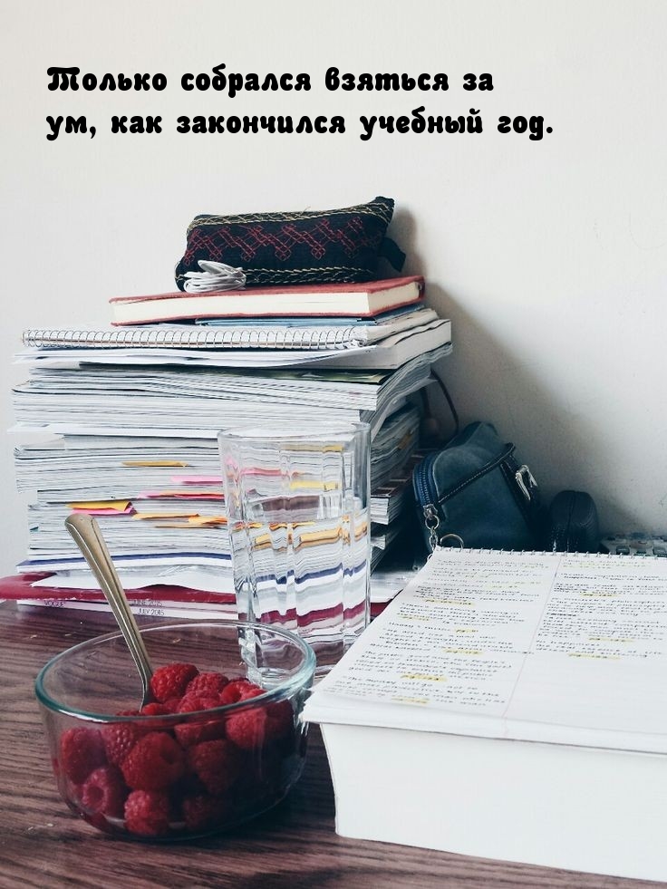 Только собрался взяться за ум, как закончился учебный год.