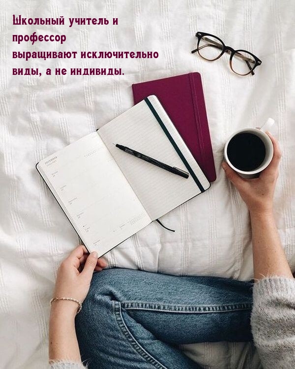 Школьный учитель и профессор выращивают исключительно виды