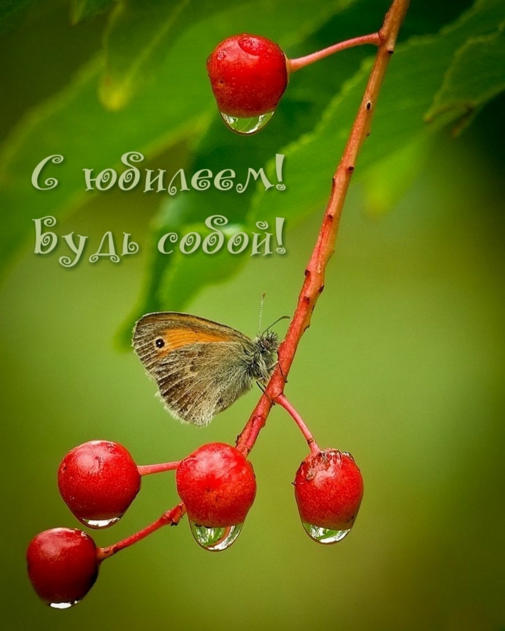С юбилеем! Будь собой!