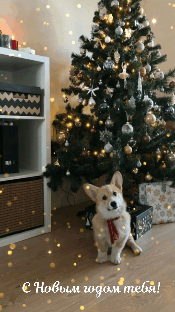 С Новым годом тебя!