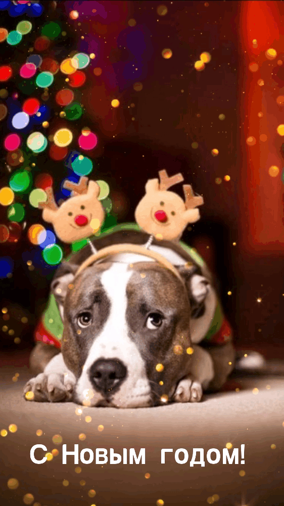 С Новым годом!
