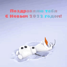 Поздравляю тебя с новым 2022 годом!