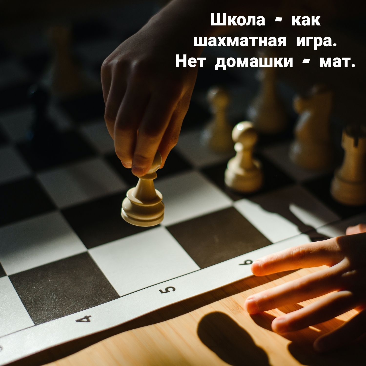 Школа — как шахматная игра. Нет домашки — мат.