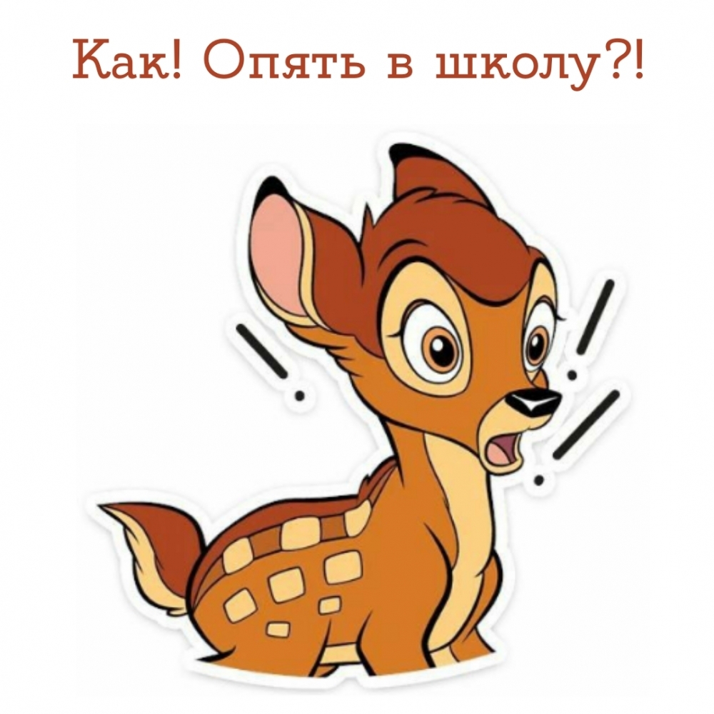 Как! Опять в школу?!