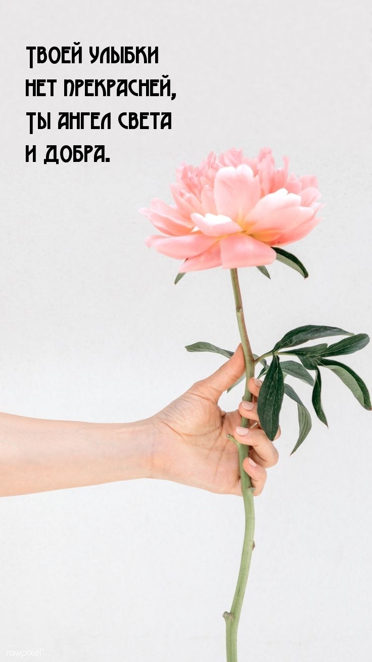 Твоей улыбки нет прекрасней, Ты ангел света и добра.