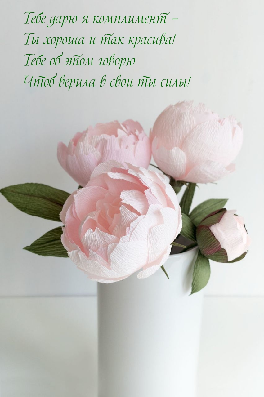 Тебе дарю я комплимент — Ты хороша и так красива!