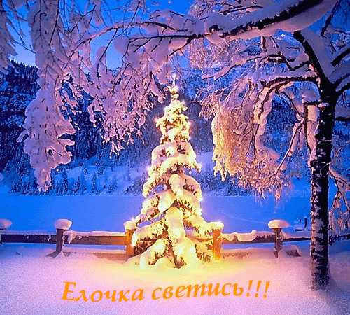 Елочка светись!