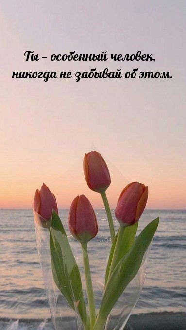 Ты — особенный человек, никогда не забывай об этом.