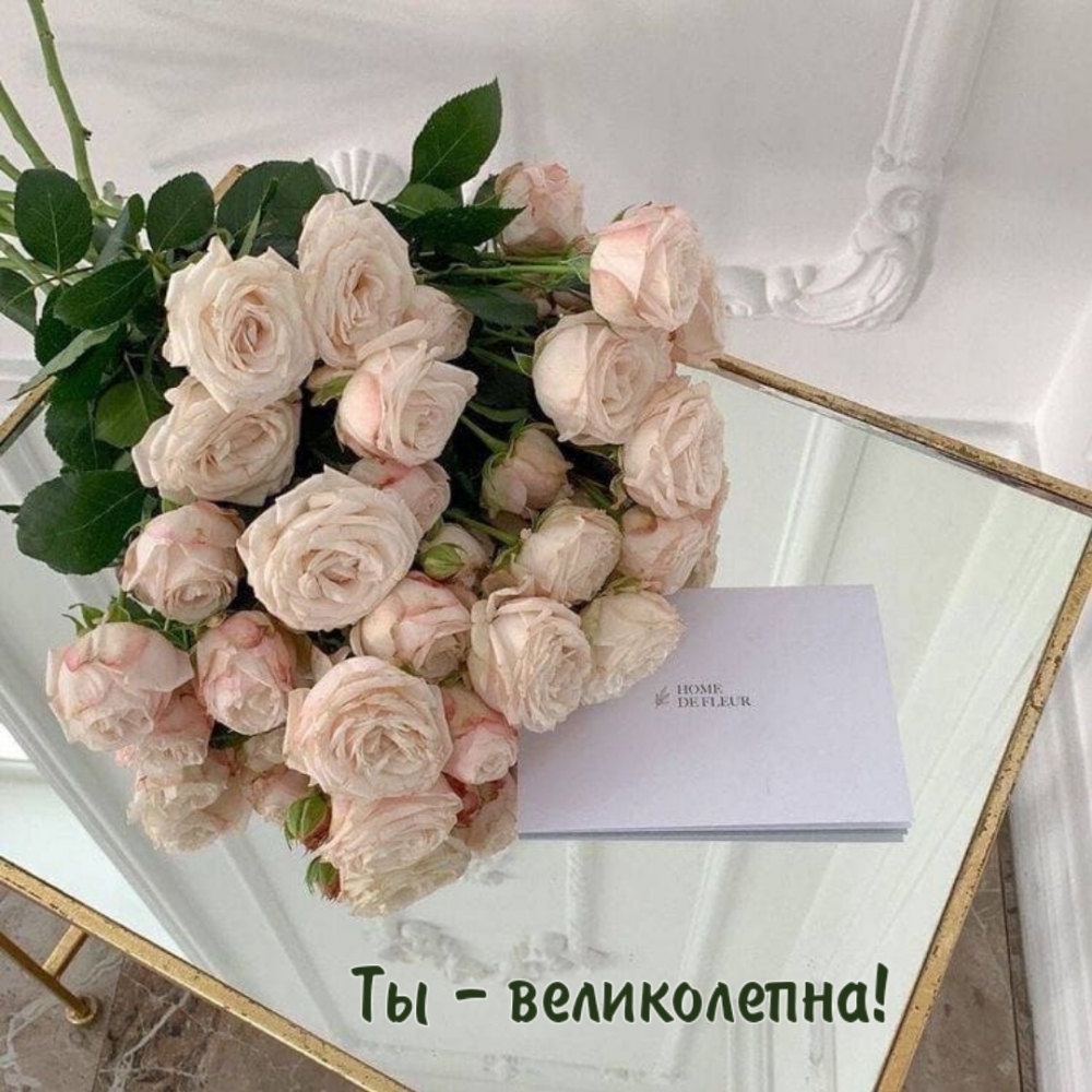 Ты — великолепна!