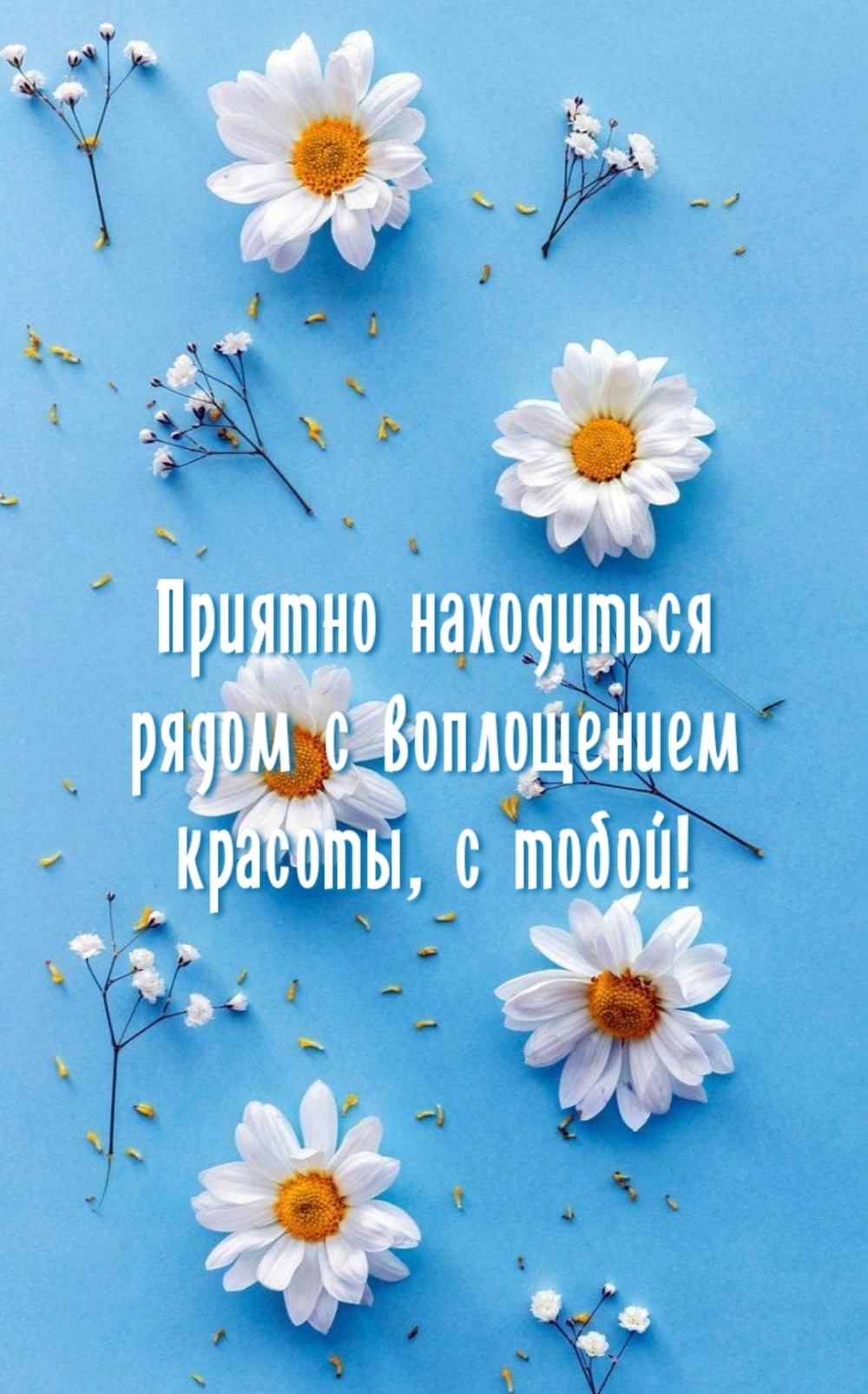 Приятно находиться рядом с воплощением красоты, с тобой!