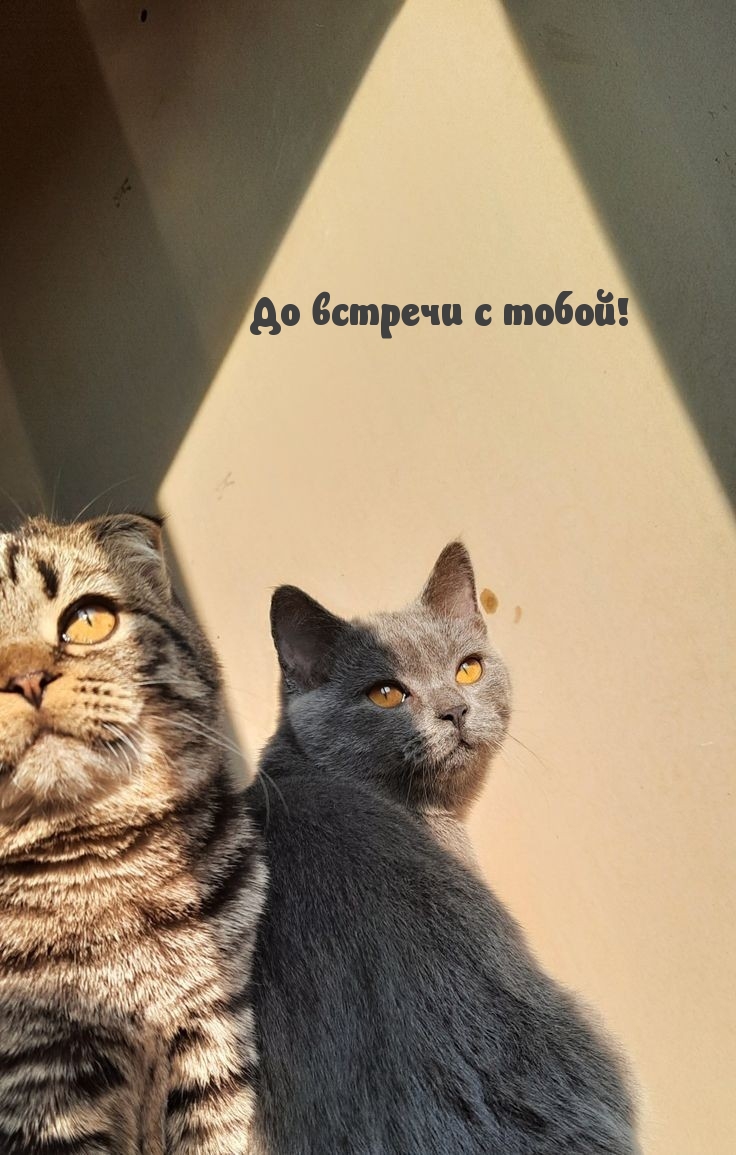 До встречи с тобой!