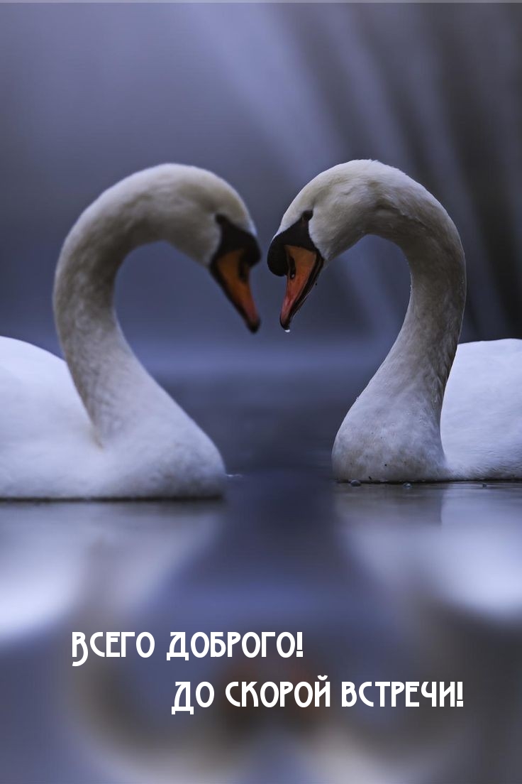 Всего доброго! До скорой встречи!