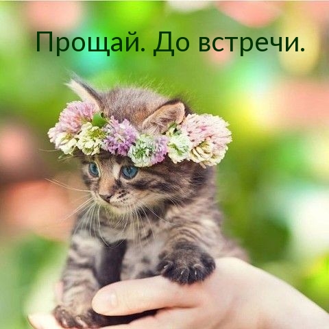 Прощай. До встречи.