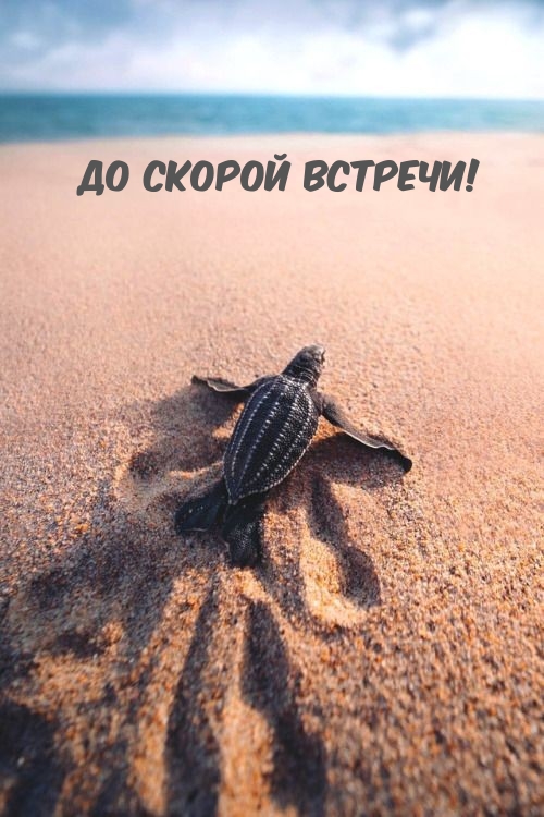 До скорой встречи!