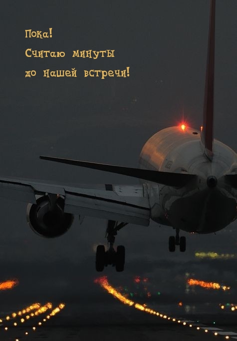 Пока! Считаю минуты до нашей встречи!
