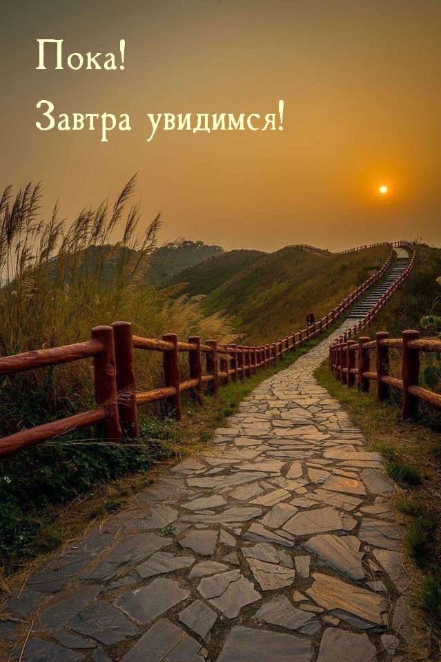 Пока! Завтра увидимся!