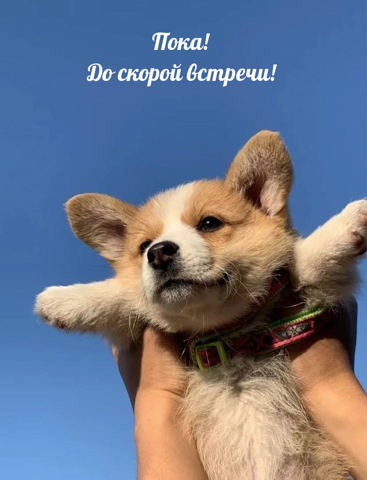 Пока! До скорой встречи!